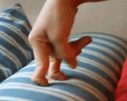 IMG-6384.gif