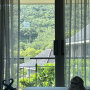 IMG 4578
