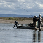 IMG-8150