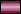 cisgender