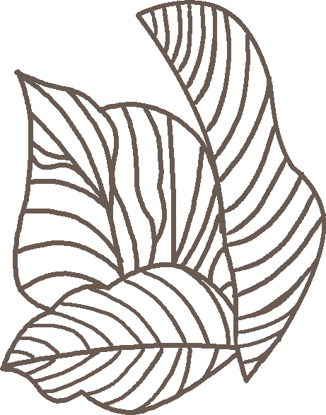Untitled-1-copy.png