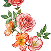 01-200