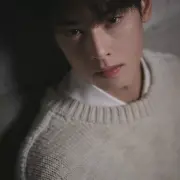 cha eun woo 1301923