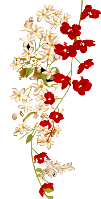 f5575250751b137251e34ac6be3111d5.png