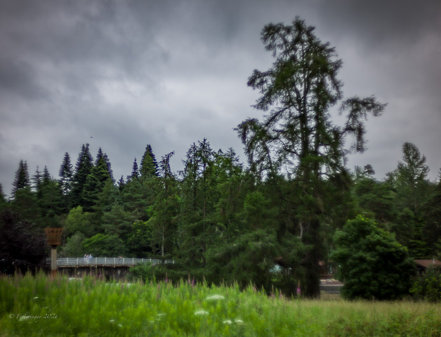 L1461265.jpg