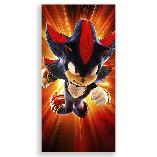 31001565-Sonic