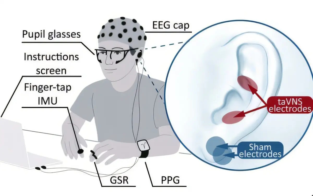 Vagus Nerve Stimulation Boosts Movement Rehabilitation