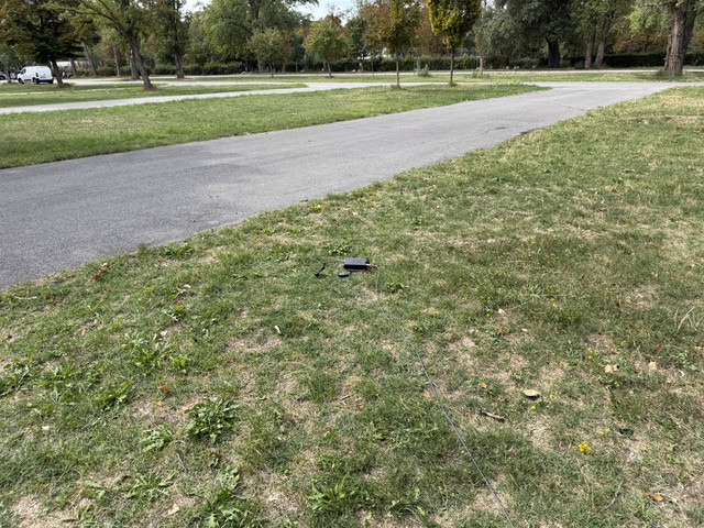 IMG 2992