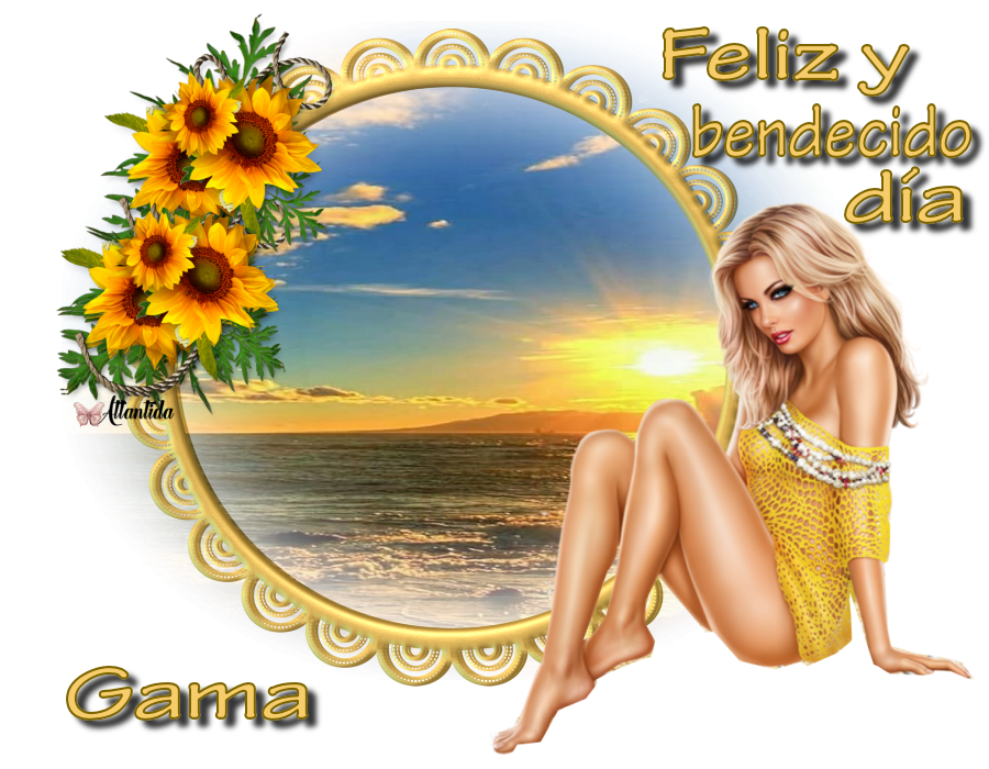 Sherry-Tekton-Pro-Ext-Feliz-Gama