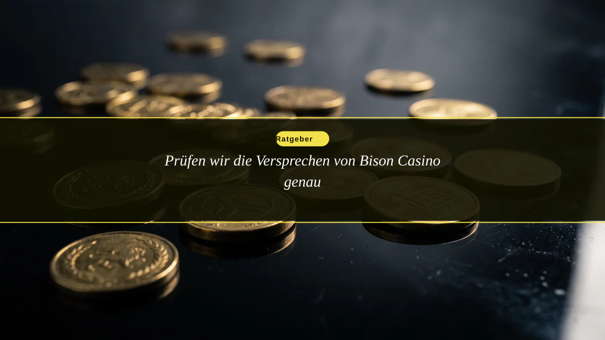 Prüfen wir die Versprechen von Bison Casino genau