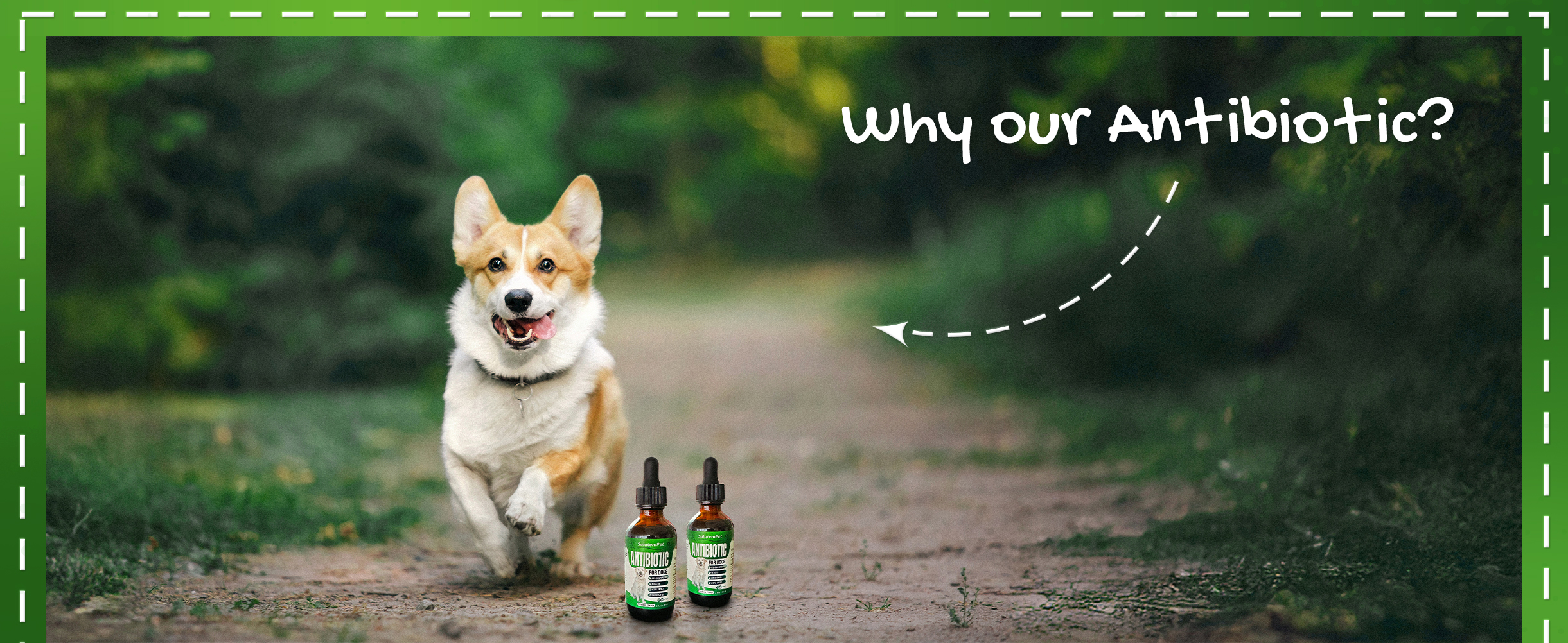 cough relief for dogs uti support for dogs