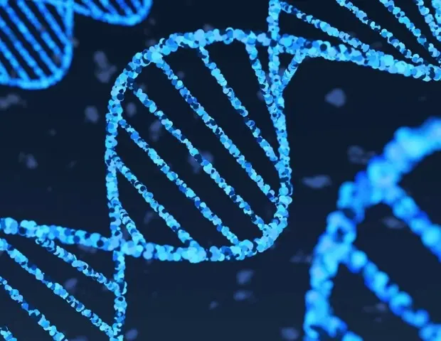 New Blood Test Monitors Gene Activity in Living Brain Tissue