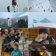 [기후환경 프로젝트-남극의 셰프] 멀리선 희극, 가까이선 비극? 남극특별보호구역 ‘펭귄마을’에 가다!