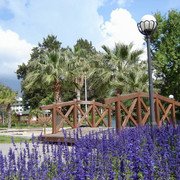 DSC06036