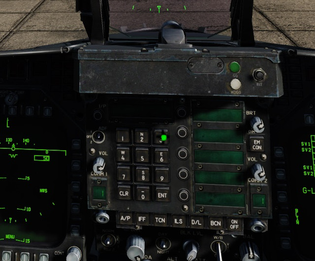 Mouse 2.jpg