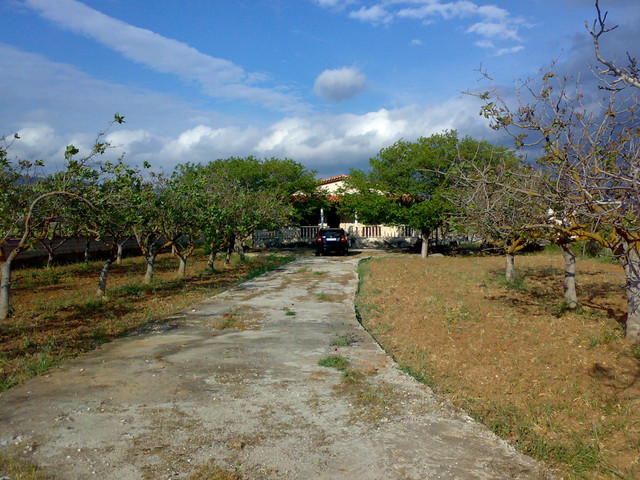 diadromos