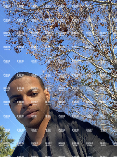 Tree.png