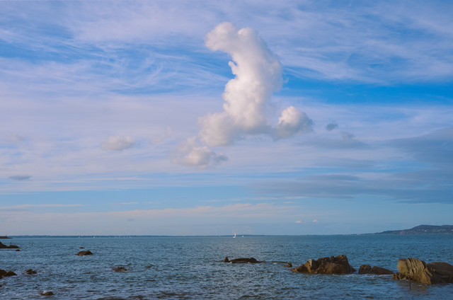 DSCF7056.jpg