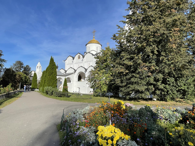 IMG-8453
