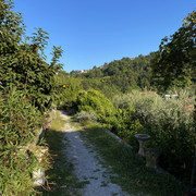 IMG-2498