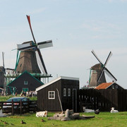 DSC066781