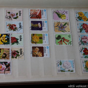 IMG-9593