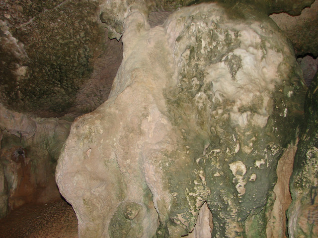 DSC00863