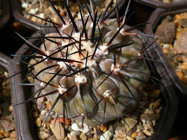 P1240972