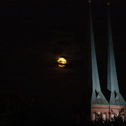 IMG-6224