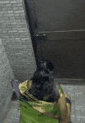 GIF-230126-084102.gif