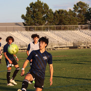 IMG-0037