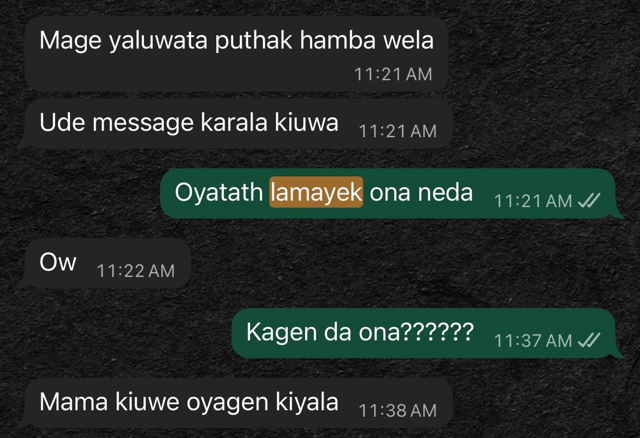 lamaya.jpg