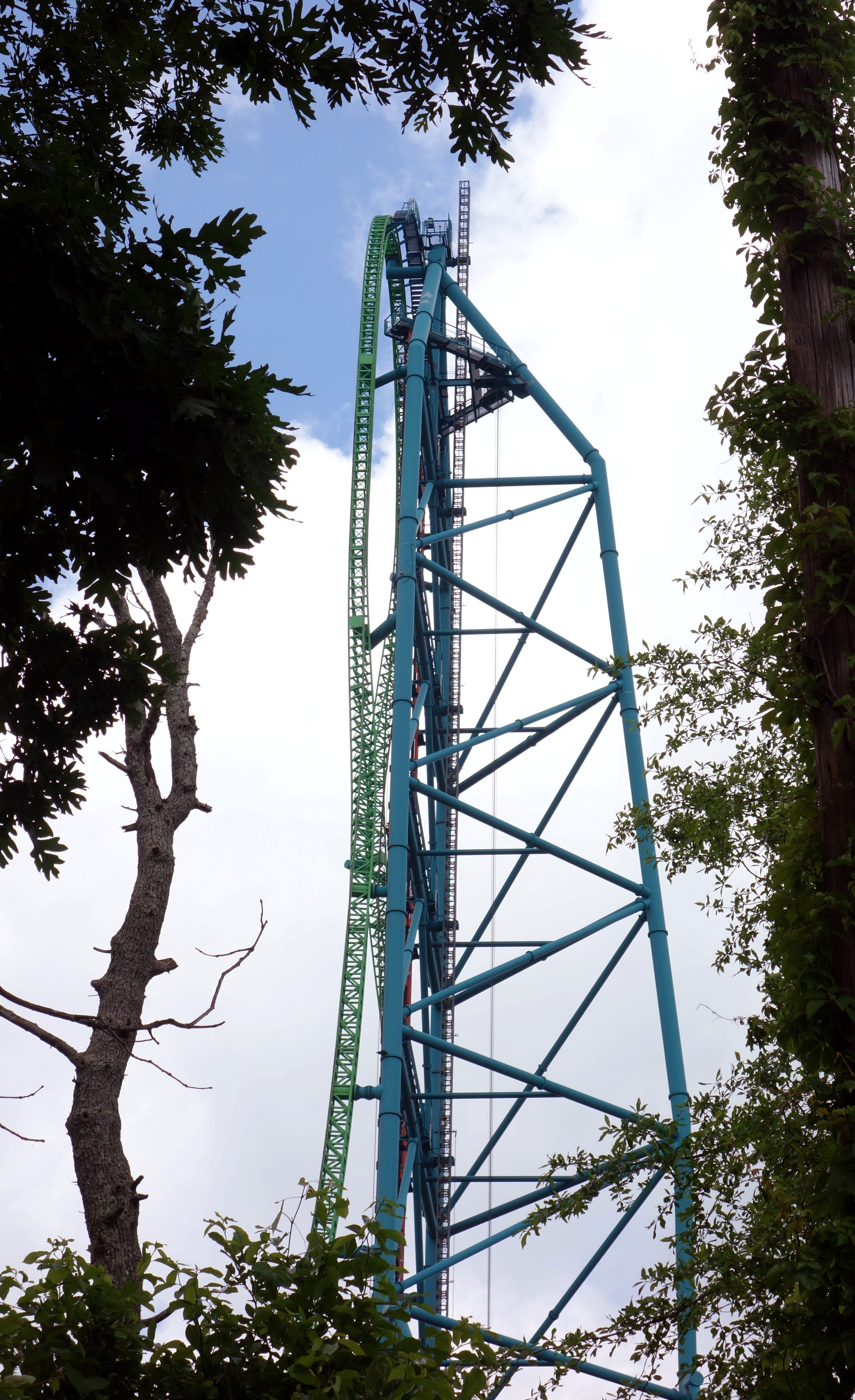DSC01926