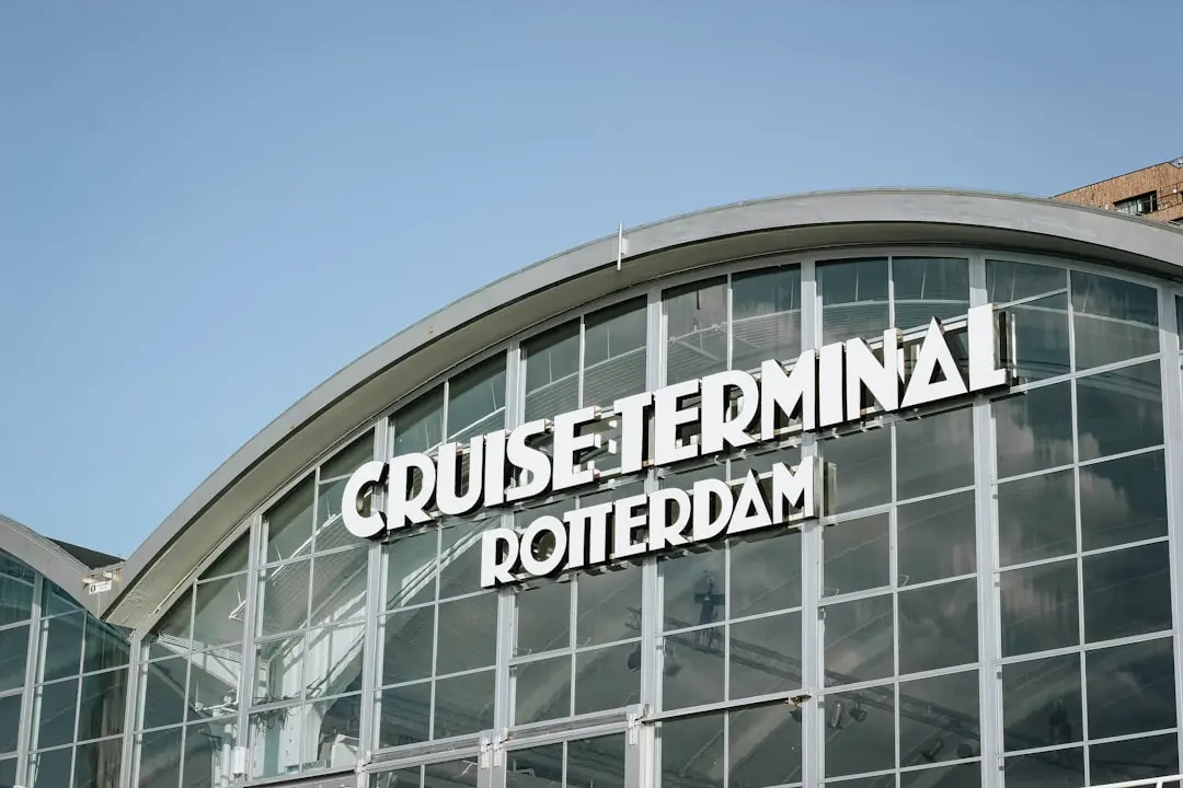 Grădina în containere: Cum a transformat Prasuna o curte dificilă din Maryland