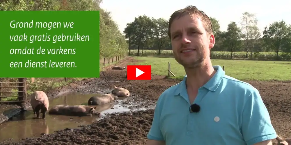 Weide varkensboerderij van Ben Bruurs uit Den Elshorst - Bestel rechtstreeks biologische varkensvlees bij de boer - Vleeskopenbijdeboer.nl