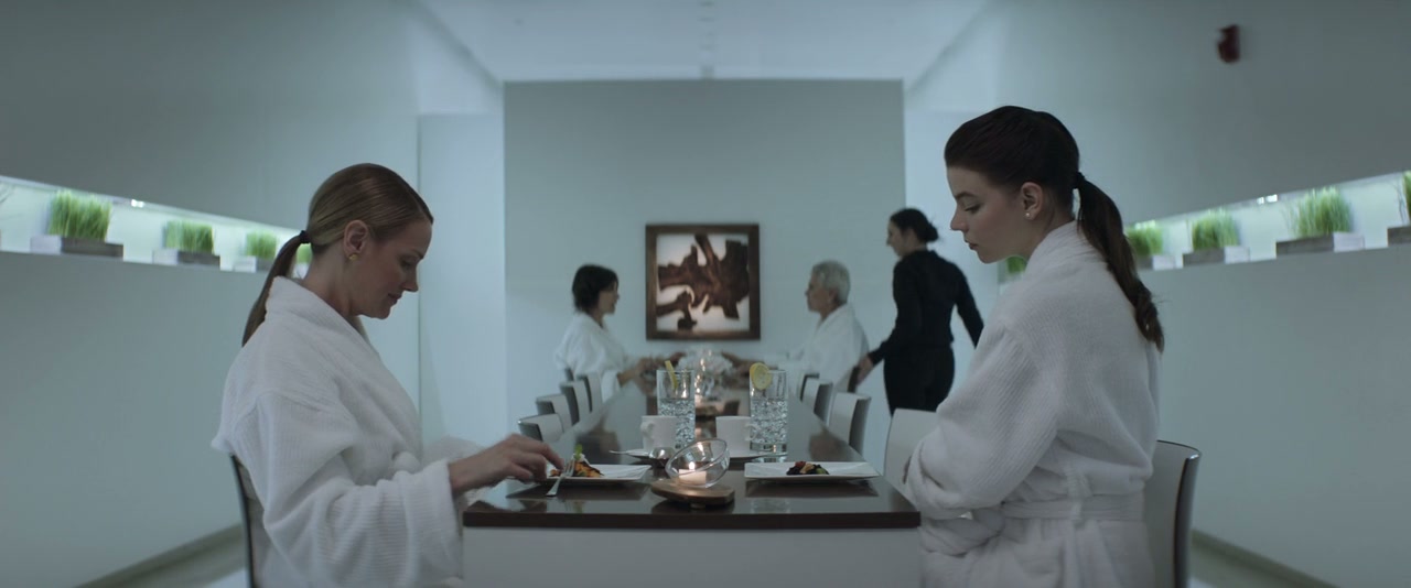 Thoroughbreds Screenshot