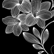 a82c5eb9546c01b379d9e6c0cbcc1bc7