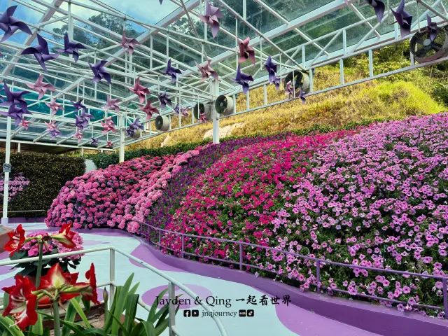 Agro Market18.webp