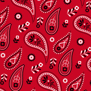 Paisley Pattern Design 02