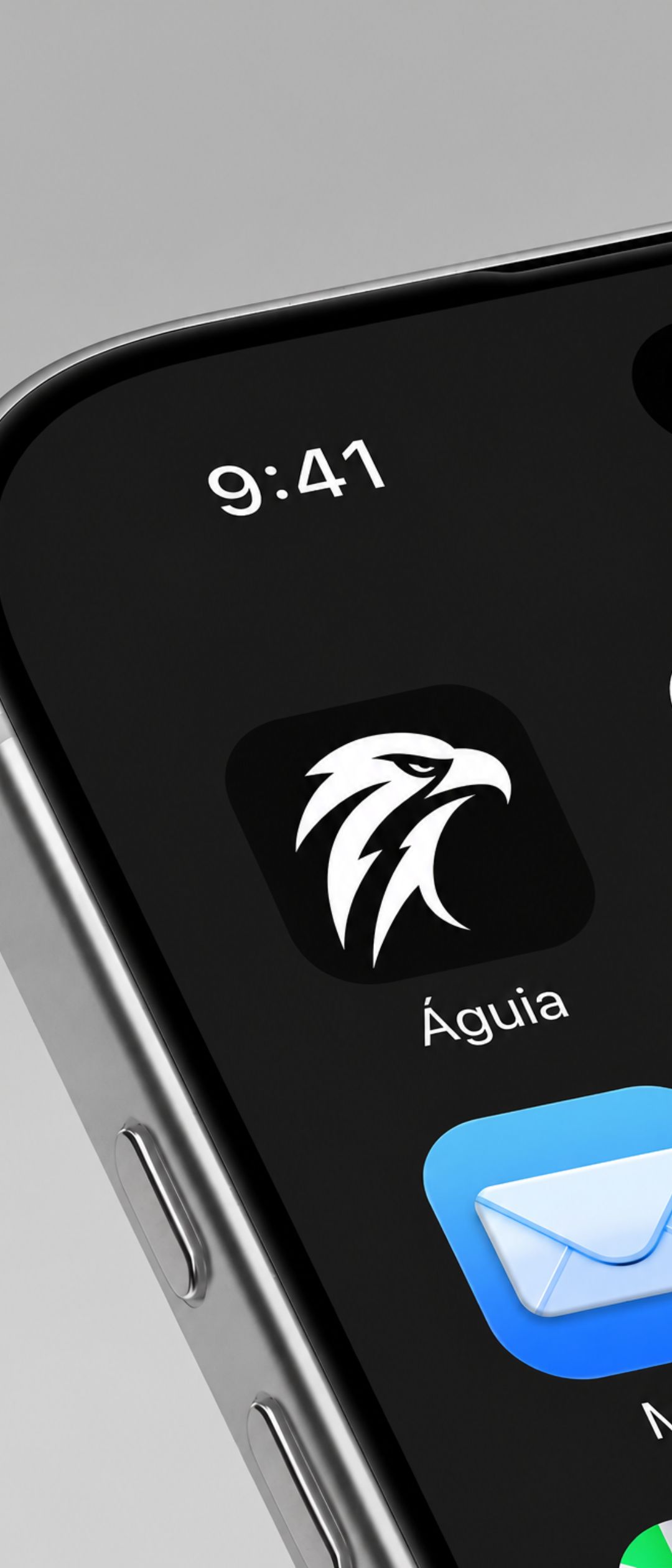 Águia App - print 2