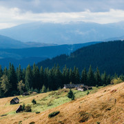 IPB Image
