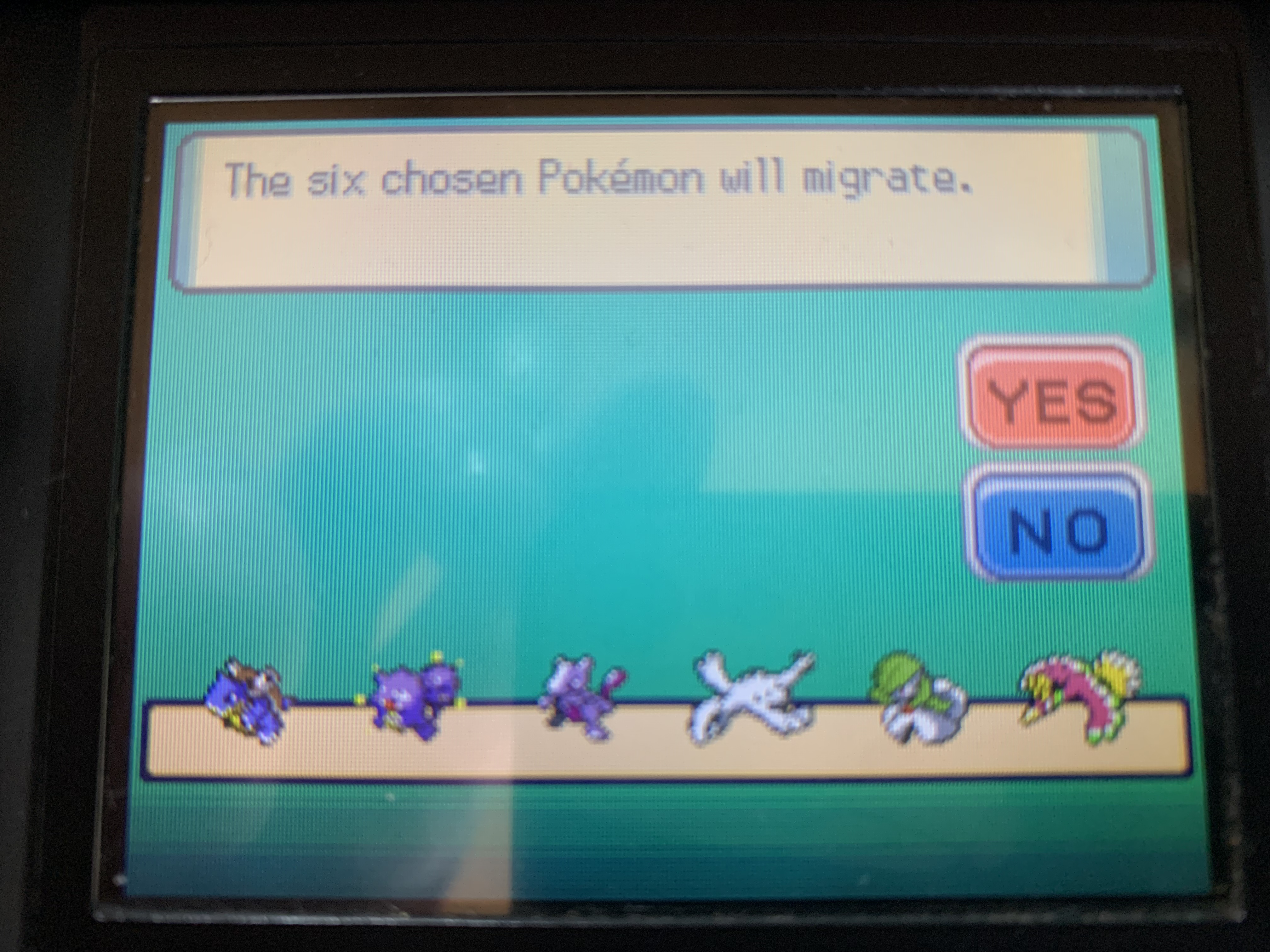 A screenshot from Pokemon Diamond showing 6 Pokemon being migrated from Pokemon Emerald to the Pal Park.
