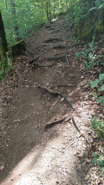 Promenadenweg1.jpg