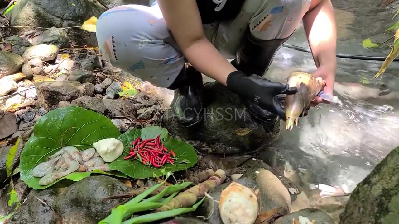 ตั้งแค้ม ล่อกลางป่า