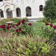 IMG 0338