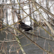 IMG_4473