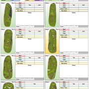 St Andrew Golf Week (Front 9) Tournament Notes Sheet Single
