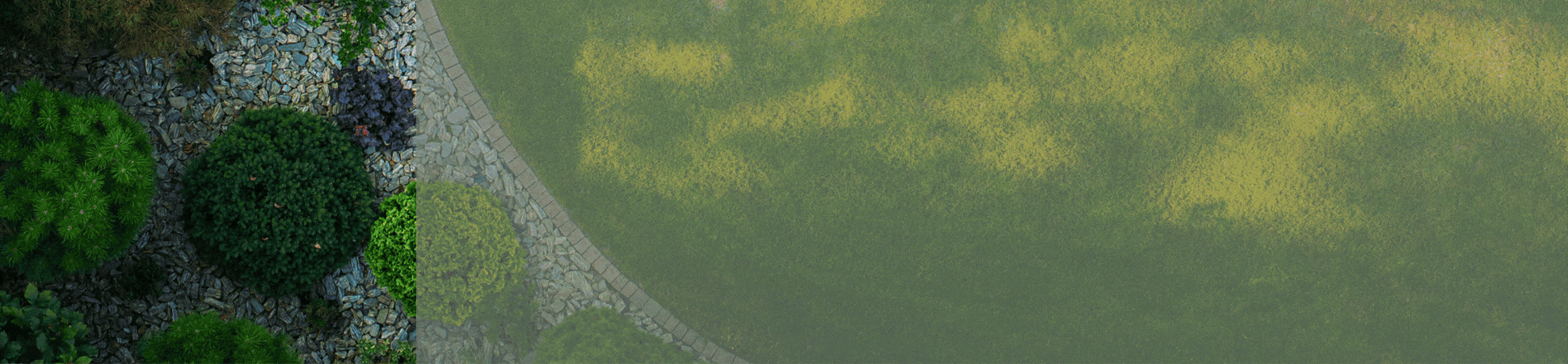 Bioires Banner