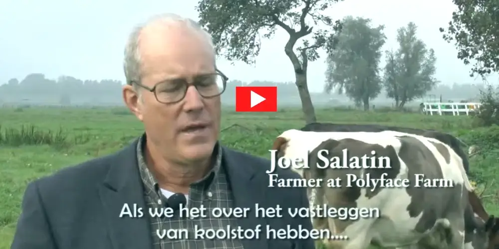 Regeneratieve begrazing en koolstofvastlegging - Vleeskopenbijdeboer.nl