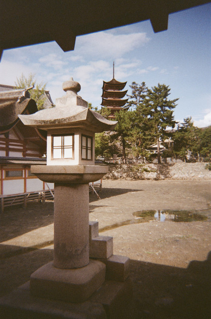 IMG-0608